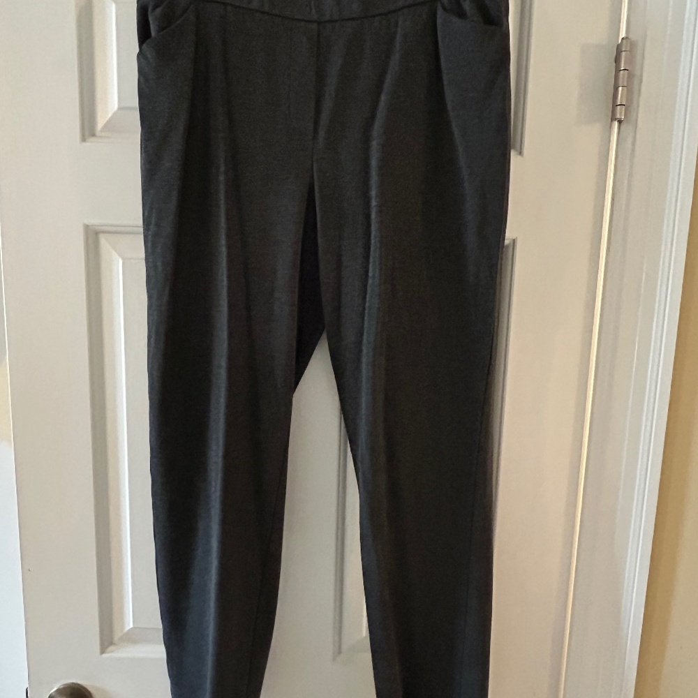 J Jill point slim leg pants